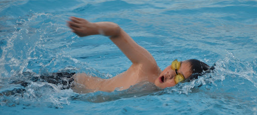 ระบบลีกว่ายน้ำเยาวชนในออสเตรเลียและการแข่งขันประจำปี